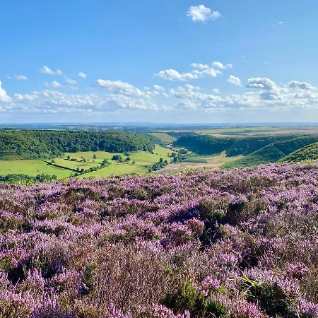 Grove House Levisham Prázdninový dům