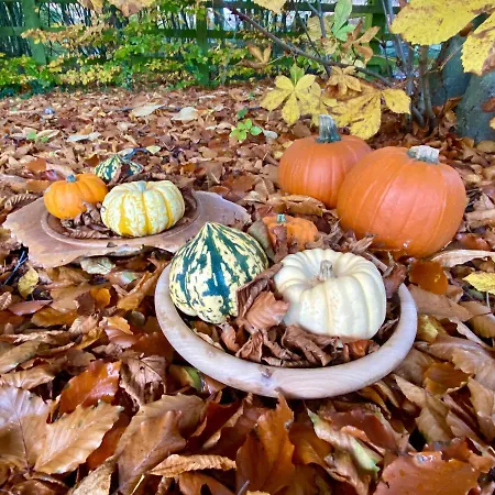 Prázdninový dům Grove House Levisham