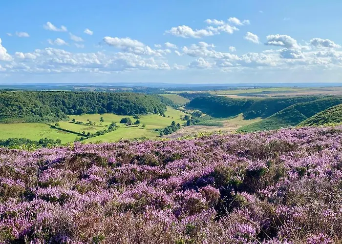 Grove House Levisham Holiday home
