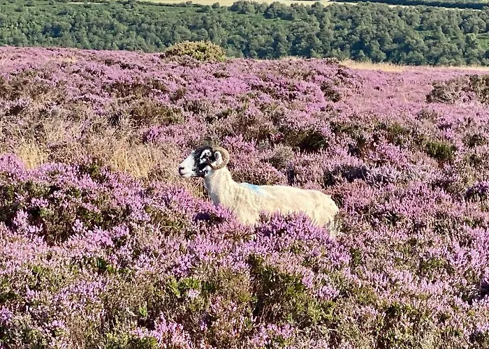 Grove House Levisham Holiday home