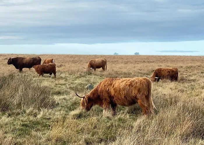 Grove House Levisham * Pickering