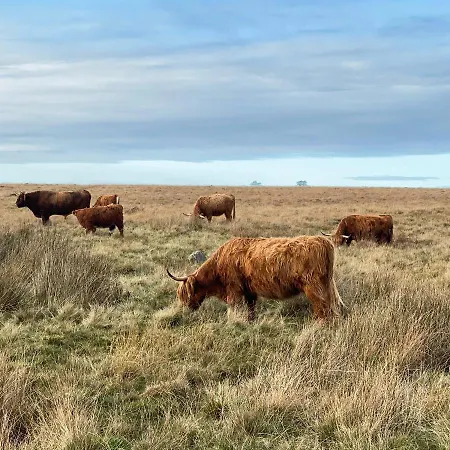 Grove House Levisham * بيكرينغ